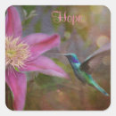 Search for beautiful hummingbird stickers Nature
