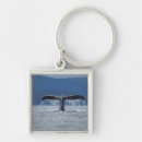 Search for humpback whale key rings Usa