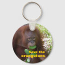 Search for borneo round key rings Primate