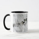 Search for aleutian mugs Eruption