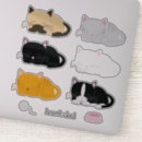 Search for large cat stickers Nature