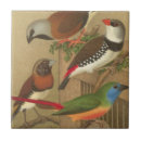 Search for bird tiles Vintage