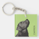 Search for black labrador accessories Retriever