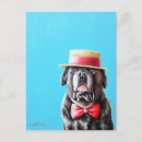 Search for red bow postcards Dog