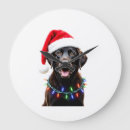 Search for black lab clocks Animal
