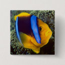 Search for windflower badges Fish