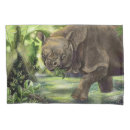 Search for endangered creatures Wildlife
