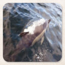 Search for common coasters Nature
