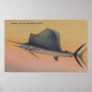 Search for sailfish posters Florida