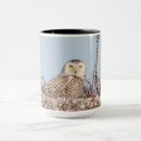 Search for snowy owl mugs Animal