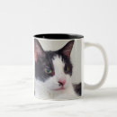 Search for and a good book coffee mugs Cute
