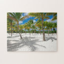 Search for palm tree puzzles Pacific