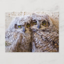 Search for bff postcards Cute