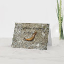 Search for slug cards Snails