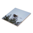 Search for eagle tiles Wings