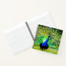 Search for peacock feathers notebooks Wild