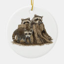 Search for cute racoon christmas tree decorations Raccoons