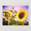 Search for sunnie postcards Pretty