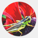 Search for grasshopper stickers Bugs
