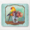Search for conures mousepads Sun conure