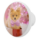 Search for dogs knobs and pulls Puppy