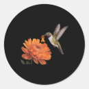 Search for hummingbird stickers Leukaemia