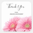 Search for gerbera stickers Daisies