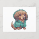 Search for dachshund puppy postcards Cute