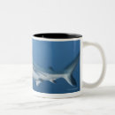 Search for reef mugs Outdoors