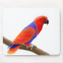 Search for avians mousepads Aviary
