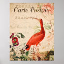 Search for scarlet ibis posters Vintage