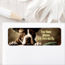 Search for pitbulls return address labels Cute