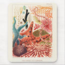 Search for echinoderm Vintage