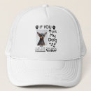 Search for accident accessories Pet