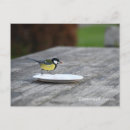Search for feeding postcards Beautiful