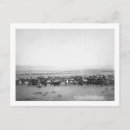 Search for herding postcards Photograph