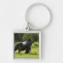 Search for mcdonalds key rings Mary ann mcdonald