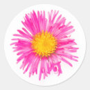 Search for single flower stickers Nature