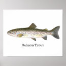 Search for salmon fish posters Fishing