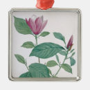 Search for magnolia flower christmas tree decorations Flowers