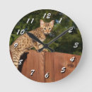 Search for cat numbers clocks Numbered