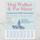 Search for pet sitting marketing materials Dog walking business