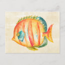 Search for aquarium postcards Watercolor