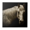 Search for tiled photography Black