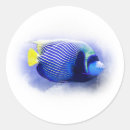 Search for turtle shell stickers Fish