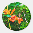 Search for trumpets magnets Green