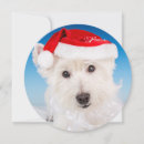 Search for beard christmas cards Holiday animals