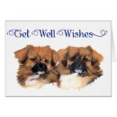 Search for tibetan spaniel Pets