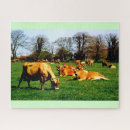 Search for jersey cow puzzles Animal