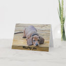 Search for dachshund funny cards Cute